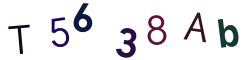 CAPTCHA con immagine