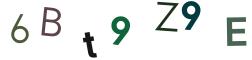 Beeld-CAPTCHA